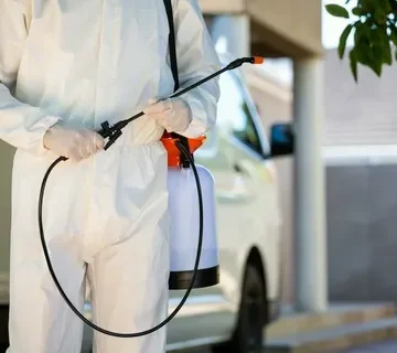 رش حشرات بالمزاحمية