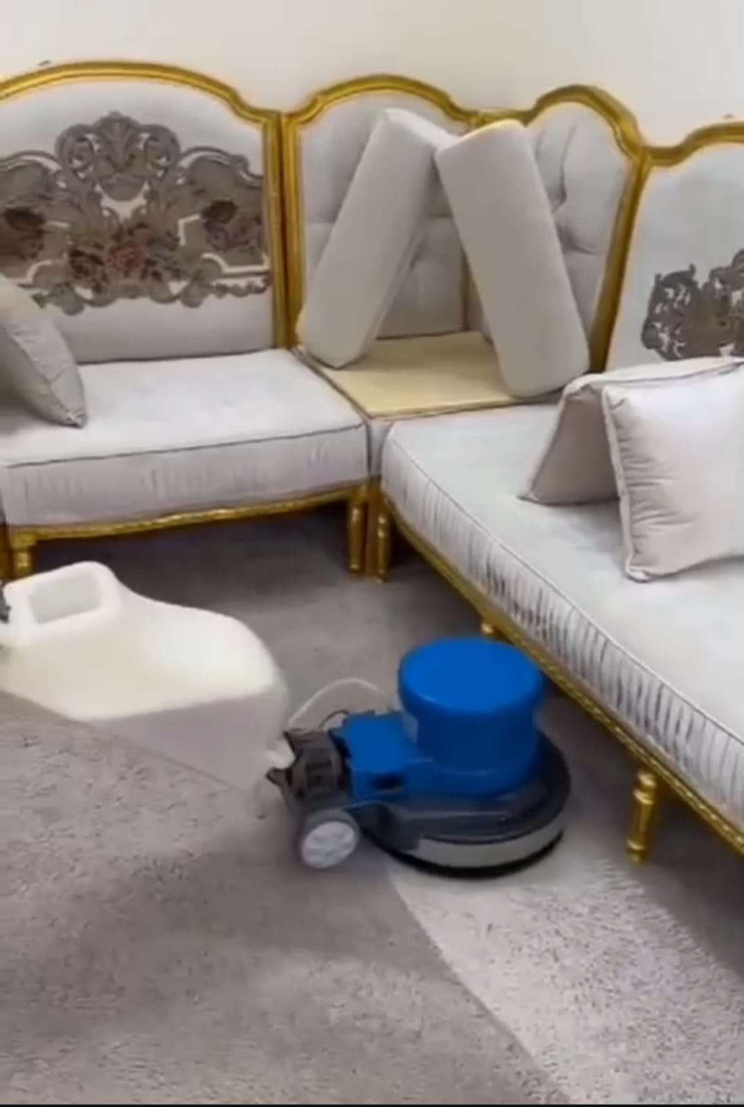 تنظيف الفلل