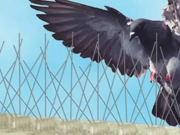 شركة تركيب طارد حمام بالمزاحمية