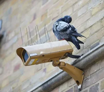 تركيب طارد حمام بالعامرية